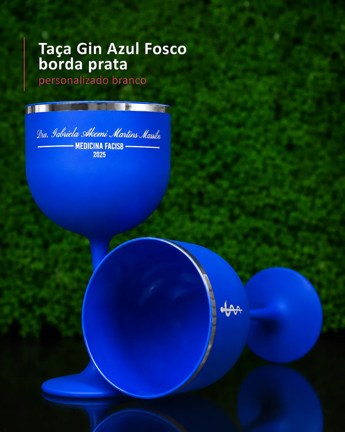 Taça Gin borda prata